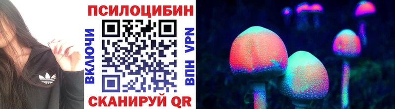 Галлюциногенные грибы Magic Shrooms  купить  цена  Первоуральск 